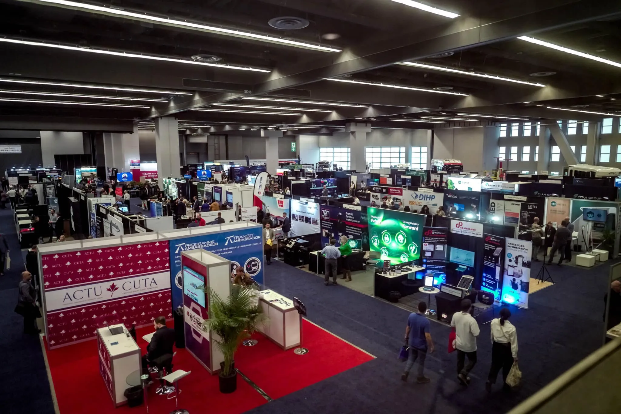 54903764903_376f2a4d64_o-scaled